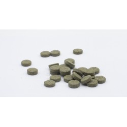 Pastilla adhesiva espirulina